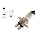Ampoule, projecteur longue portée 79780235 CARPRISS