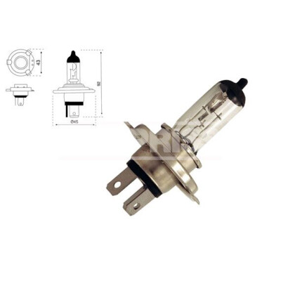 Ampoule, projecteur longue portée 79780236 CARPRISS