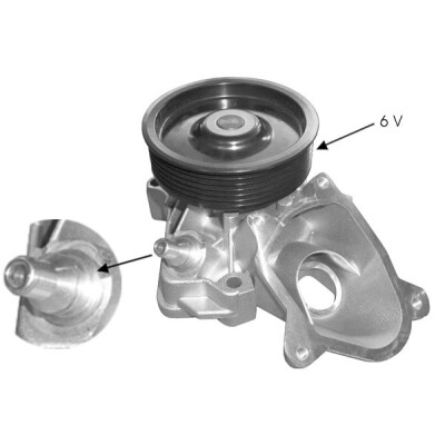Pompe à eau, refroidissement du moteur ROB236 RECOFICIAL