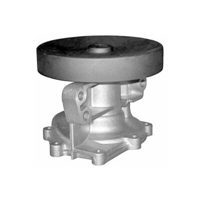 Pompe à eau, refroidissement du moteur ROF200 RECOFICIAL