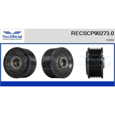 Poulie, alternateur RECSCP902730 RECOFICIAL