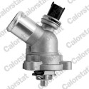 Thermostat, liquide de refroidissement TE7254102J CALORSTAT by Vernet