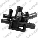 Thermostat, liquide de refroidissement TE7141105J CALORSTAT by Vernet