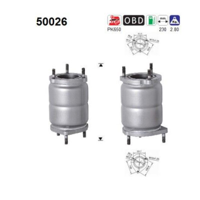 Catalyseur 50026 AS