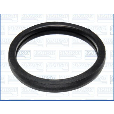 Joint, thermostat 00975700 AJUSA