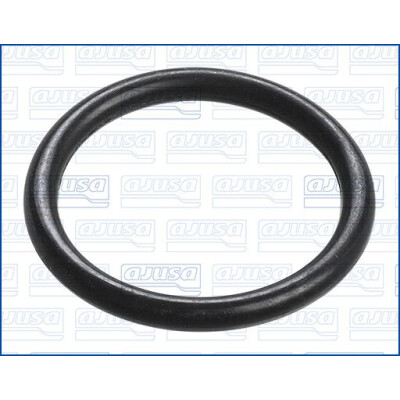 Joint, thermostat 16084900 AJUSA