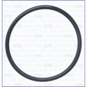 Joint, thermostat 16125400 AJUSA