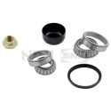 Kit de roulements de roue R14056 SNR