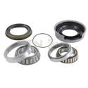 Kit de roulements de roue R14160 SNR