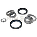 Kit de roulements de roue R15109 SNR