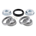 Kit de roulements de roue R15240 SNR