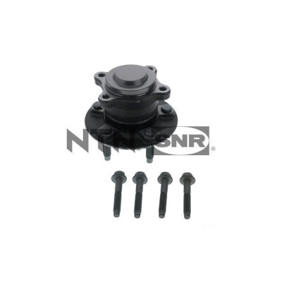Kit de roulements de roue R15384 SNR