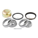 Kit de roulements de roue R15522 SNR