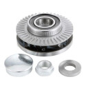 Kit de roulements de roue R15821 SNR