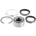 Kit de roulements de roue R16950 SNR