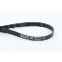 Courroie trapézoïdale à nervures 4PK711ELAST CONTINENTAL CTAM