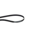 Courroie trapézoïdale à nervures 6PK1208EXTRA CONTINENTAL CTAM