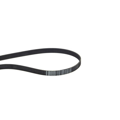 Courroie trapézoïdale à nervures 6PK1208EXTRA CONTINENTAL CTAM
