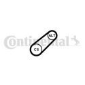 Courroie trapézoïdale à nervures 6PK799ELAST CONTINENTAL CTAM