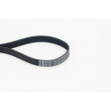 Courroie trapézoïdale à nervures 7PK1051ELAST CONTINENTAL CTAM