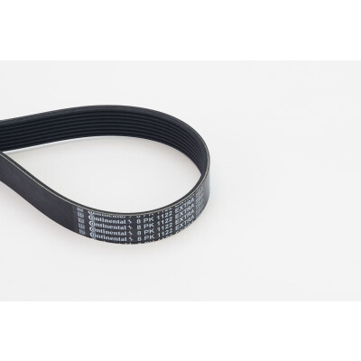 Courroie trapézoïdale à nervures 8PK1122EXTRA CONTINENTAL CTAM