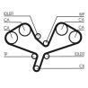 Kit de courroie crantée CT1068K2 CONTINENTAL CTAM