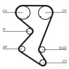 Kit de courroie crantée CT1110K2 CONTINENTAL CTAM