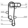 Kit de courroie crantée CT957K2 CONTINENTAL CTAM
