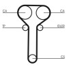 Pompe à eau + kit de courroie crantée CT978WP1 CONTINENTAL CTAM