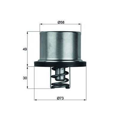Thermostat, liquide de refroidissement THD179 NAGARES