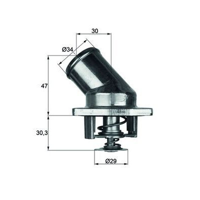 Thermostat, liquide de refroidissement TI392 NAGARES
