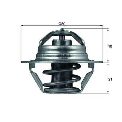 Thermostat, liquide de refroidissement TX10089D NAGARES