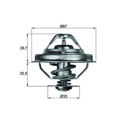 Thermostat, liquide de refroidissement TX3880D NAGARES
