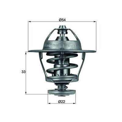Thermostat, liquide de refroidissement TX5385D NAGARES