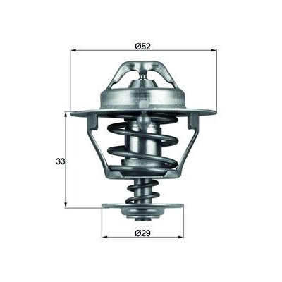 Thermostat, liquide de refroidissement TX7788D NAGARES