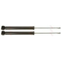 Amortisseur JGT481T TRW