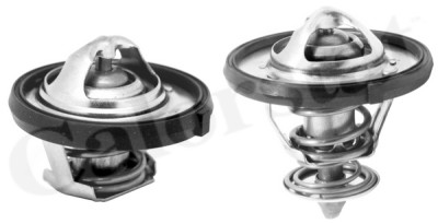 Thermostat d'eau